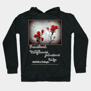 paintbrush wildflowers, Johnston's Ridge 3 Hoodie